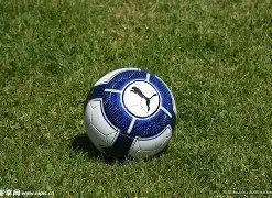 第十五届,鸟巢,欢乐冰雪季,乐竞体育平台,乐竞体育官方网站,乐竞体育登录入口,乐竞体育app下载