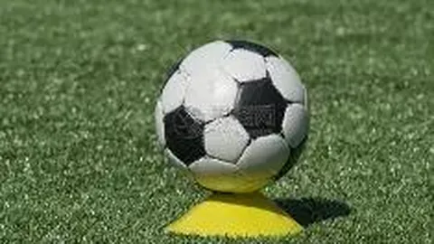 乐竞体育 资讯 125954 wj5